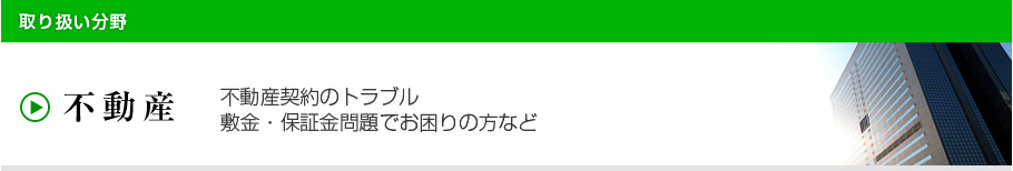不動産